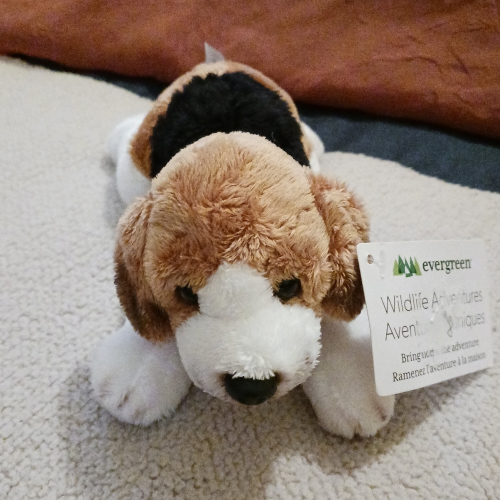 Evergreen Wildlife Adventures Bean Bag Beagle